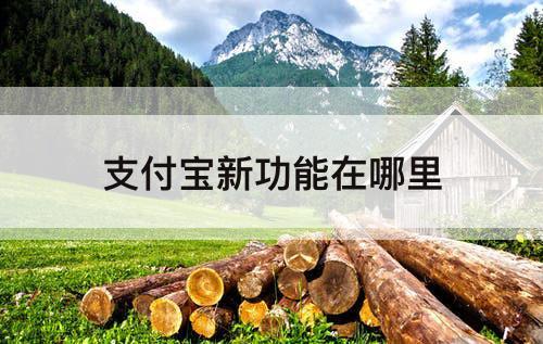 支付宝新功能在哪里