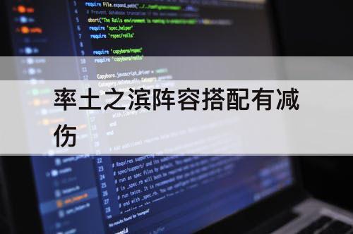 率土之滨阵容搭配有减伤