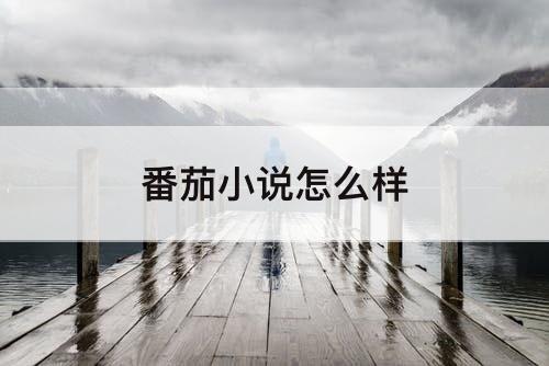 番茄小说怎么样