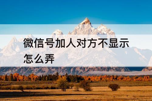 微信号加人对方不显示怎么弄