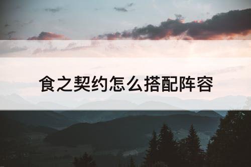 食之契约怎么搭配阵容