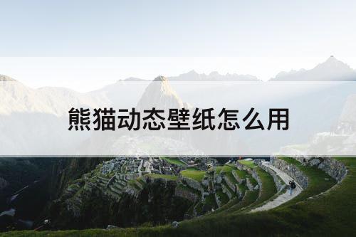 熊猫动态壁纸怎么用