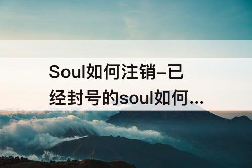 Soul如何注销-已经封号的soul如何注销