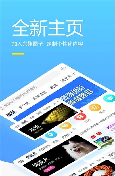龙巅鱼邻