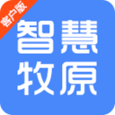 地下城与勇士M韩服
