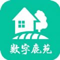 地下城与勇士M韩服
