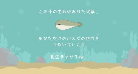虚无鱼BasPi最新版1.1.10