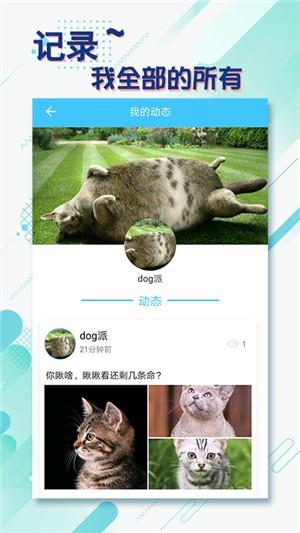 同语  v1.0.4图2