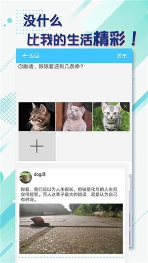 同语  v1.0.4图1