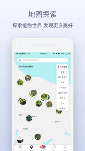 植物伴侣  v1.0图2