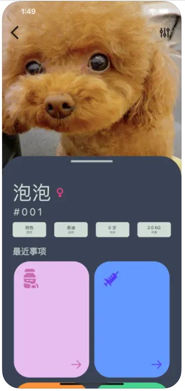 爱宠小派手机版  v1.1图2