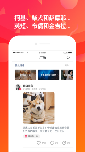 蛋挞短视频2023