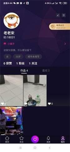 宠物秀秀免费版