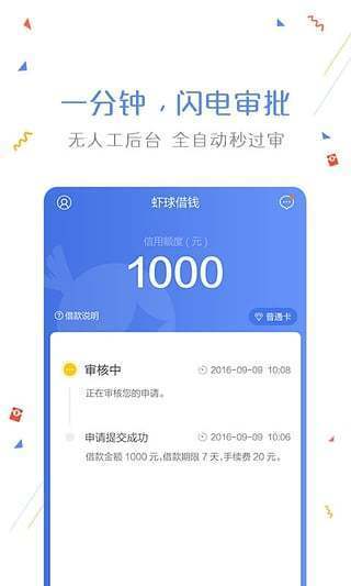 袋子花2023