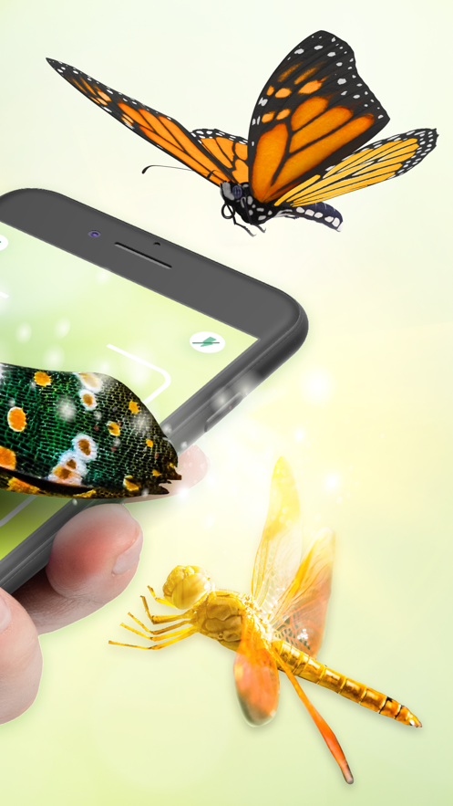 昆虫标识符  v1.0图2