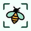 昆虫标识符安卓版