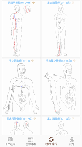 经络穴位3D