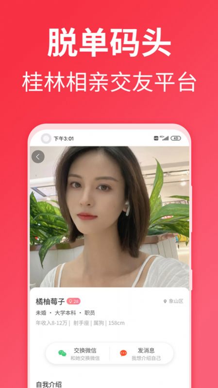 脱单码头安卓版