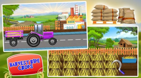 水稻种植工厂  v1.0.2图2