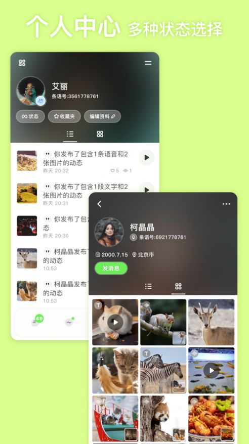 条语