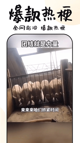 3分钟短剧免费版  v1.0.8图2
