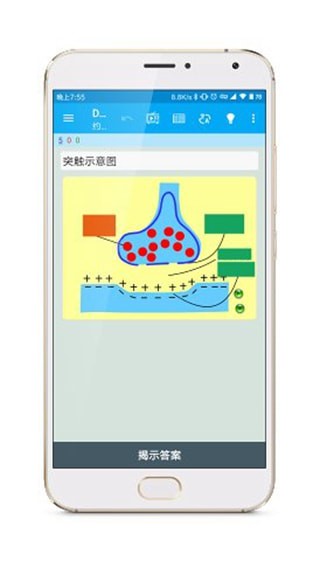 Anki涂鸦制卡免费版