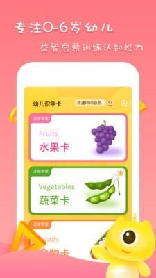早教识字识物2024