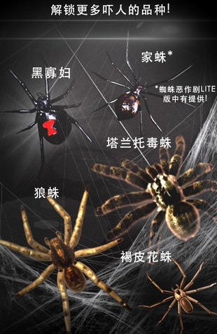 巨型蜘蛛恶作剧简版  v2.4图2