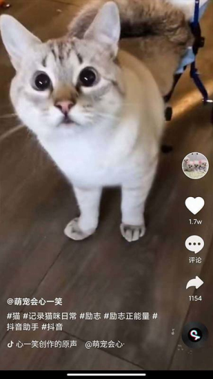 全民刷短剧下载app  v2.8.3图1
