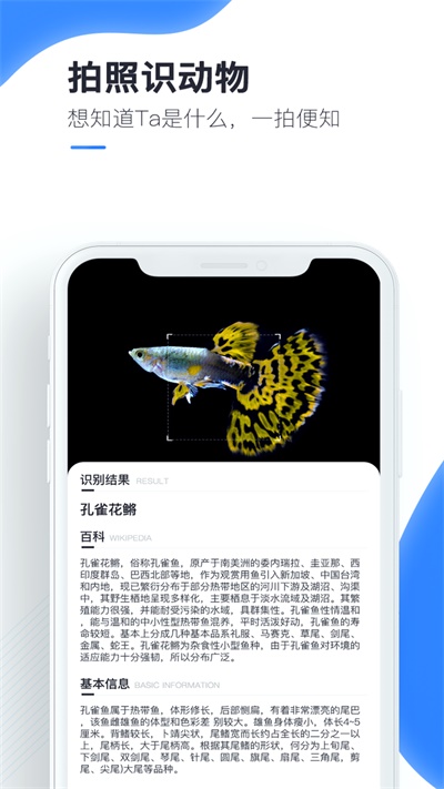 百科扫描王破解版免费下载安装苹果