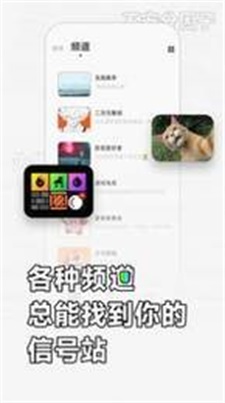 软仆app