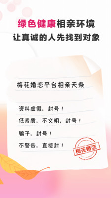 梅花再婚相亲最新版在线观看免费视频