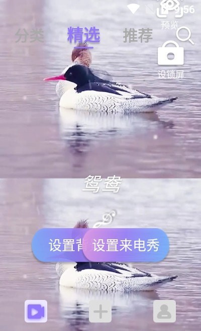 视频铃声来电秀视频彩铃  v2.2.0图3