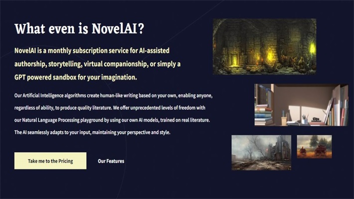 novelai官网下载破解  vv1.图1
