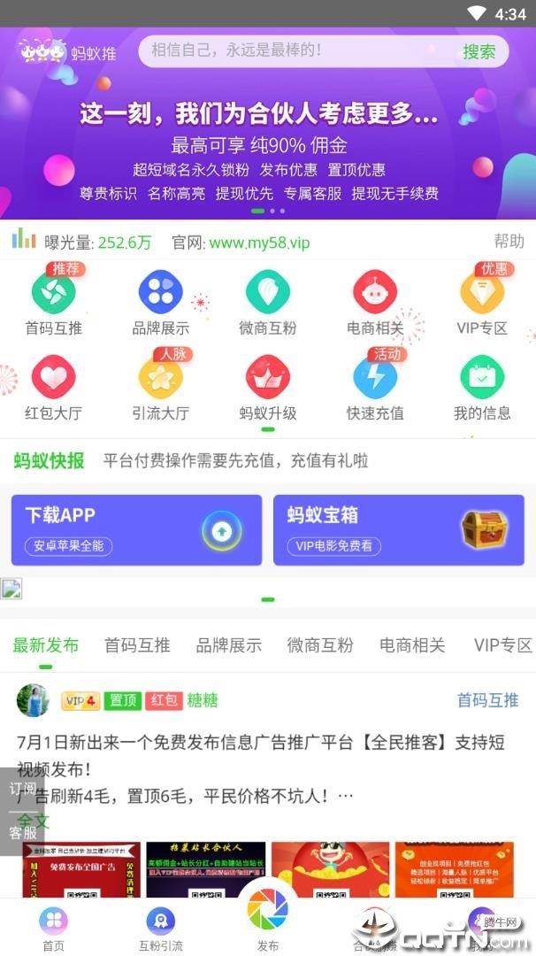 蚂蚁推