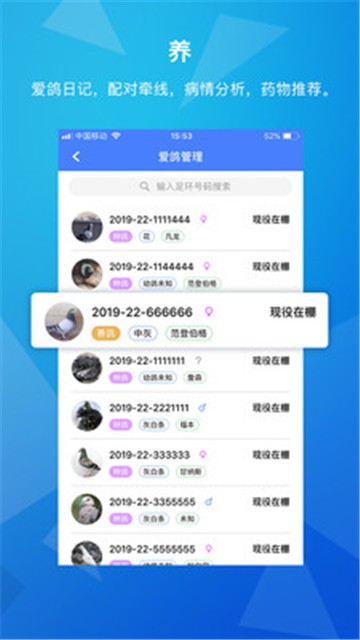 天下鸽谱2024  v1.1.5图1