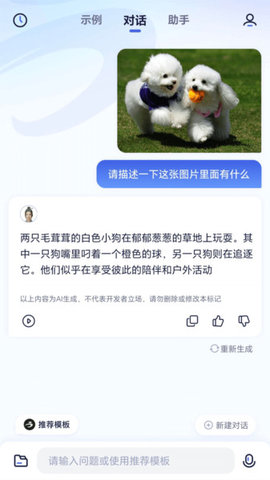 中科院自动化所紫东太初