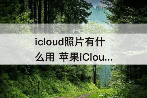 icloud照片有什么用 苹果iCloud照片有什么用