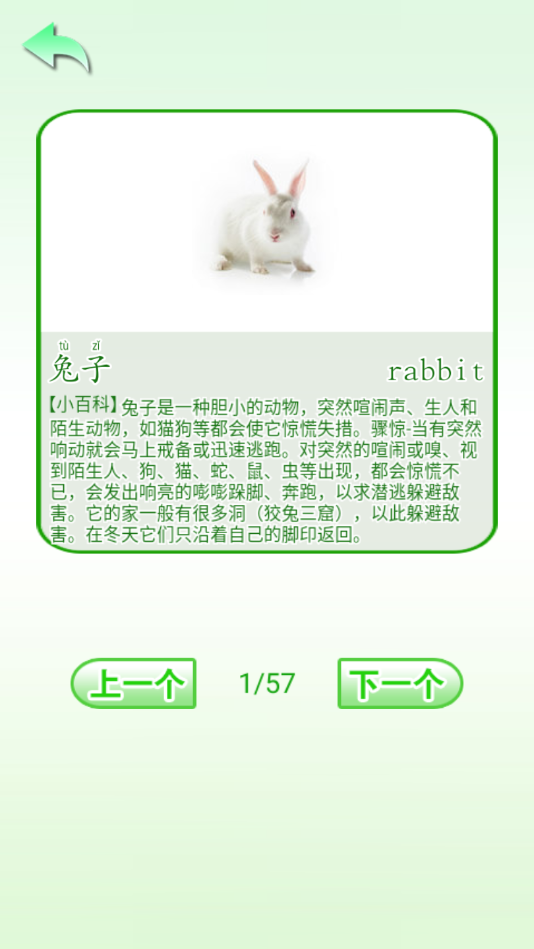 学前认知教育2024  v1.0图1
