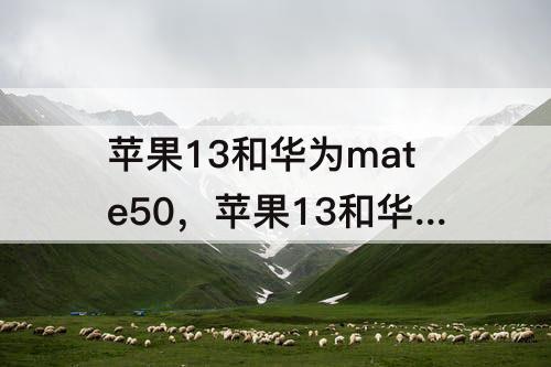 苹果13和华为mate50，苹果13和华为mate50pro哪个值得买