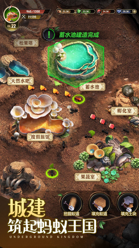 小小蚁国37版本90天罩子  v1.49.0图3