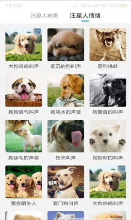 猫狗动物翻译器  v1.0.0图2