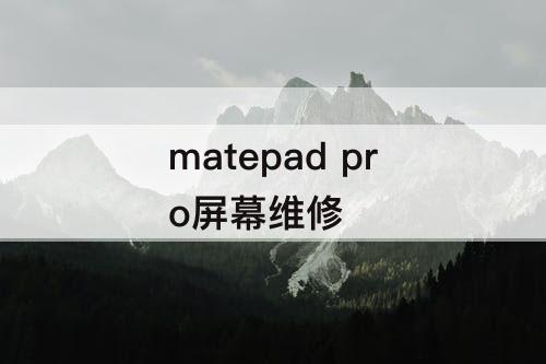 matepad pro屏幕维修