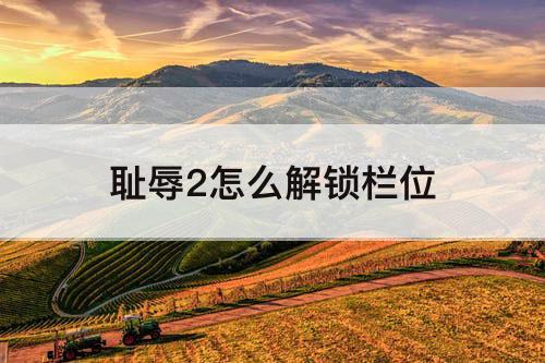 耻辱2怎么解锁栏位