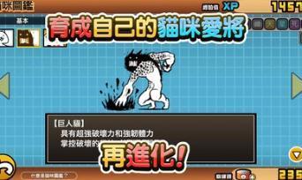 猫咪大战争无限罐头版可扭蛋最新版美版